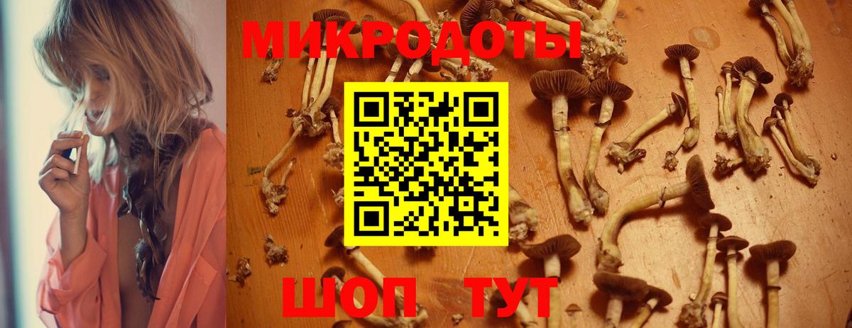 Псилоцибиновые грибы Psilocybine cubensis Сертолово